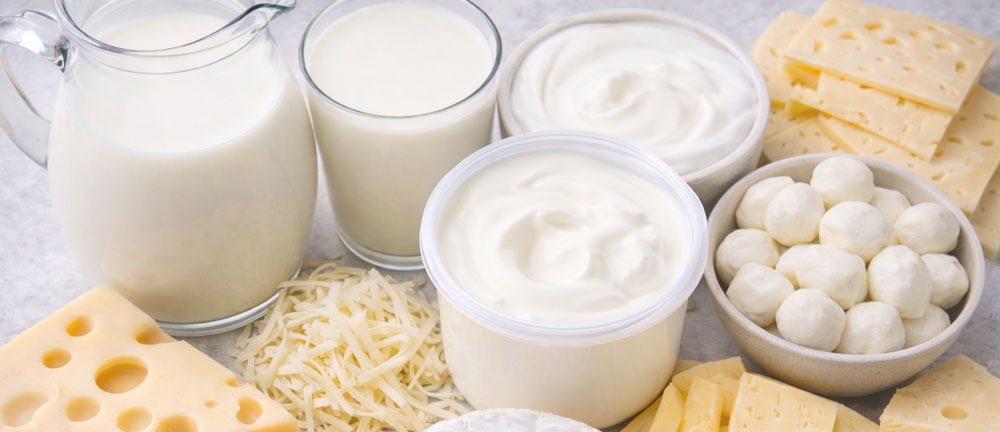 variety of dairy products including cheese