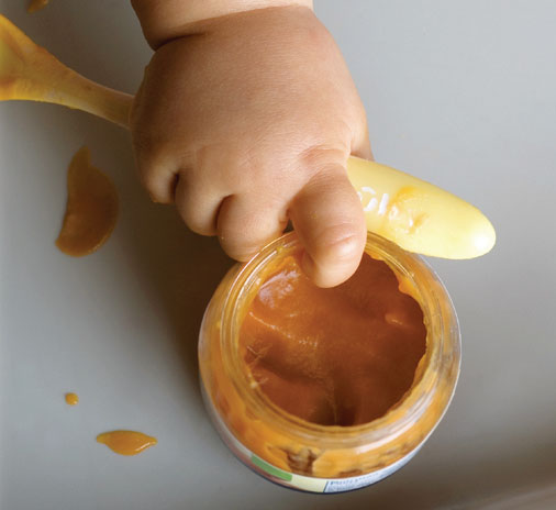 Baby gripping spoon, reaching into jar of puree.