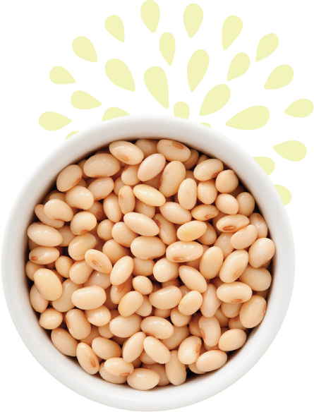 Bowl of white beans with decorative background pattern.