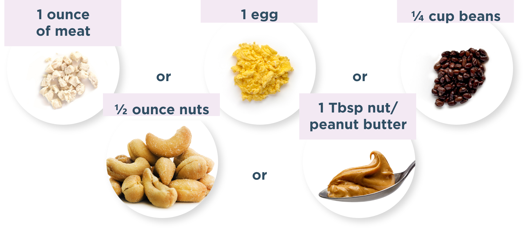 Protein food options with meat, egg, nuts, beans, peanut butter