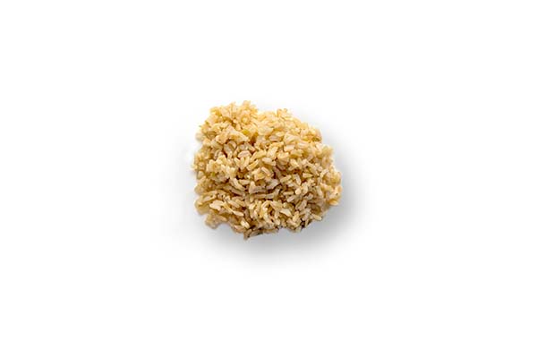 Cooked brown rice on white background