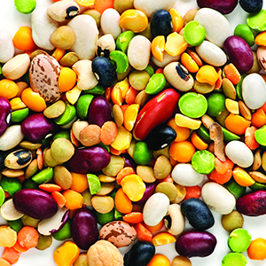 Colorful assorted beans scattered on white background