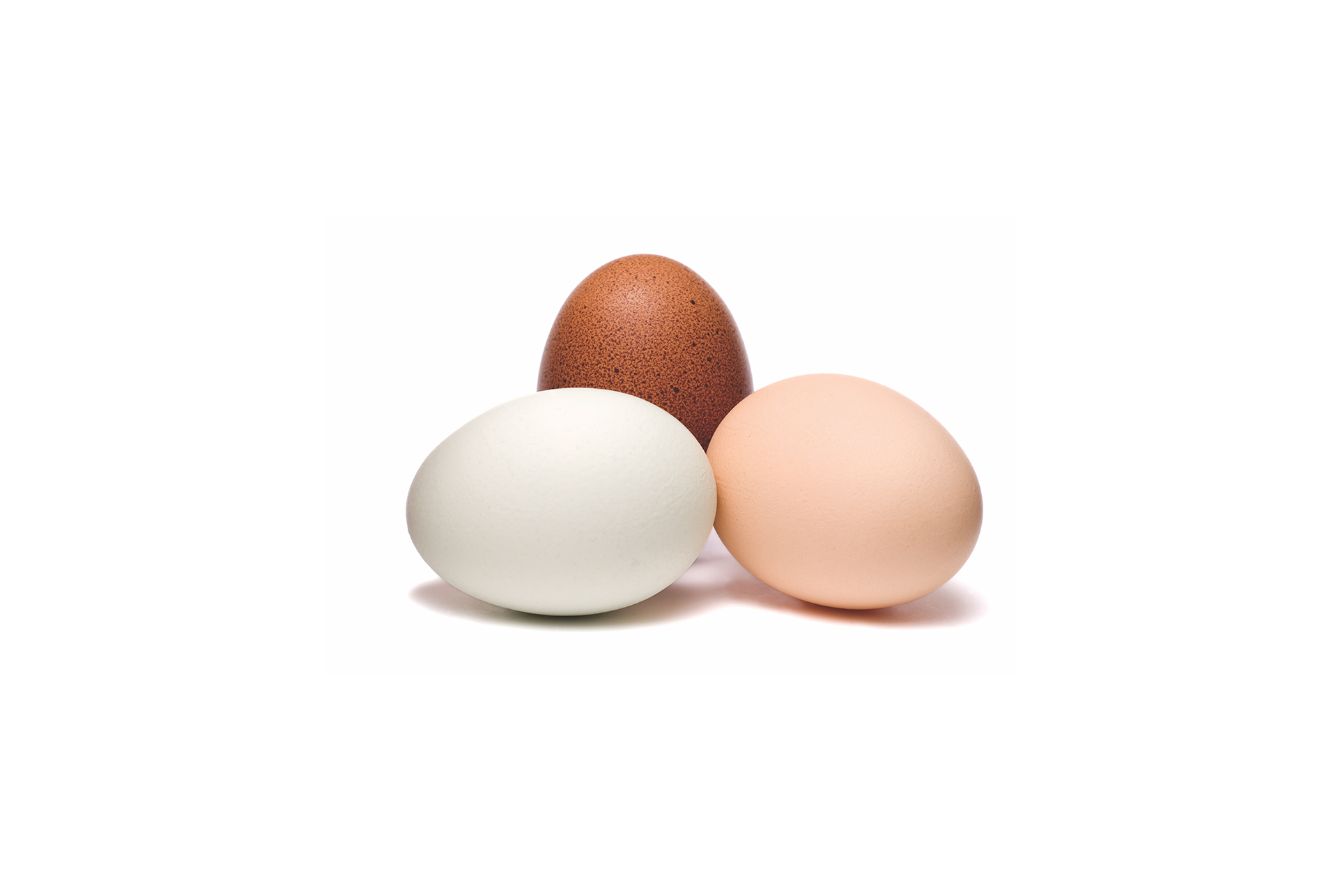 eggs image