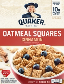 Oatmeal Squares Cinnamon