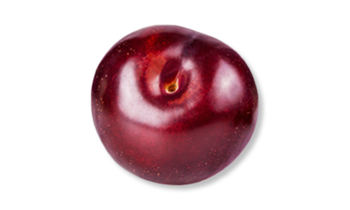 Plum