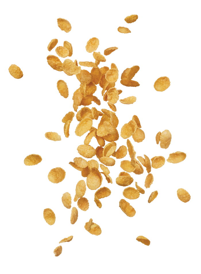 Breakfast Flakes